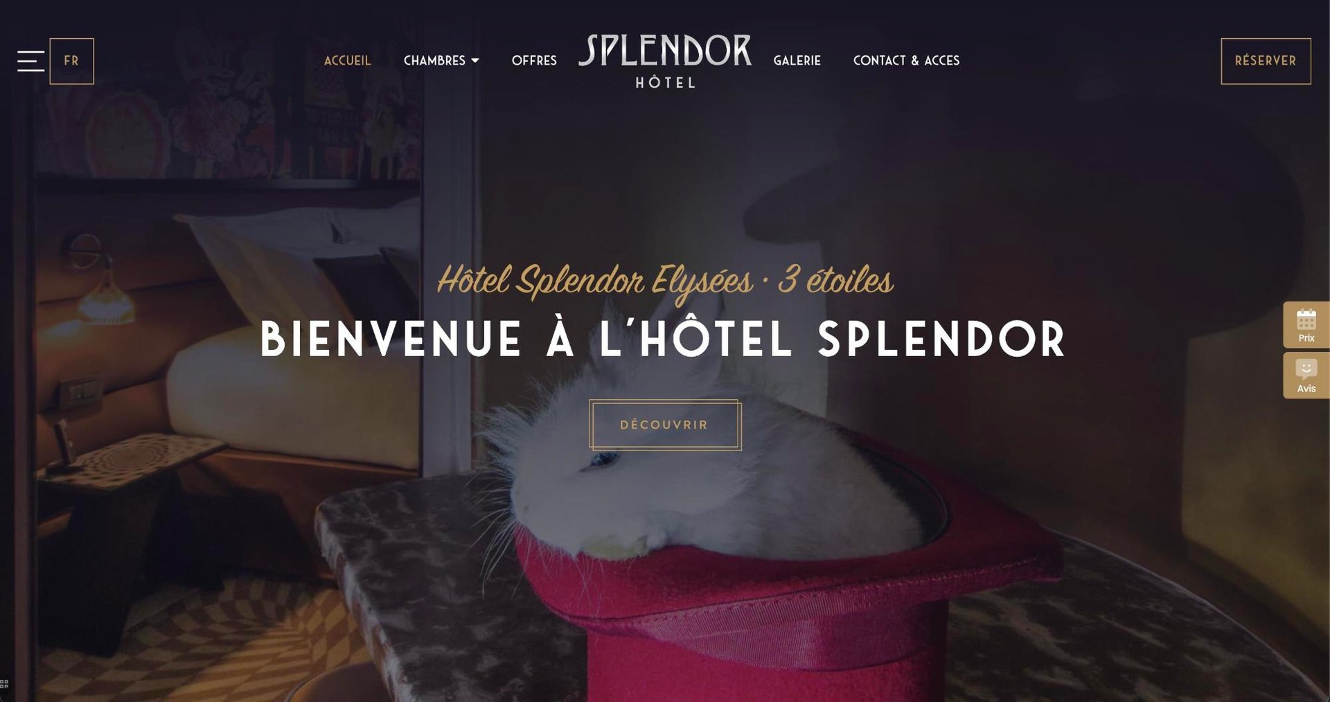 Agence MMCréation | Portfolio Hôtel Splendor